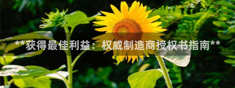 彩神的邀请码是多少：**获得最佳利益：权威制造商授权书指南*