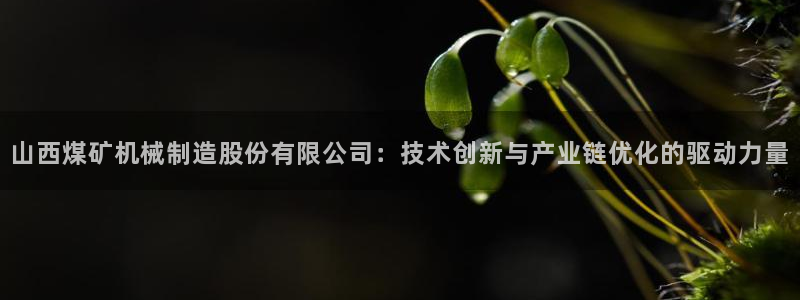彩神平台之间是什么关系：山西煤矿机械制造股份有限公司：技术创新与产业链优化的驱动力量