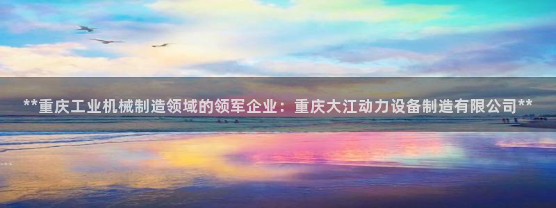 彩神v8下载网址：**重庆工业机械制造领域的领军企业：重庆大江动力设备制造有限公司**