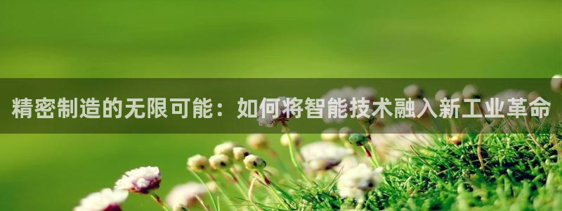 彩神v彩搜狗：精密制造的无限可能：如何将智能技术融入新工业革命