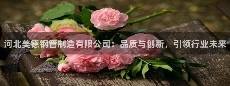 彩神xapp官方网站：河北美德钢管制造有限公司：品质与创新，引领行业未来