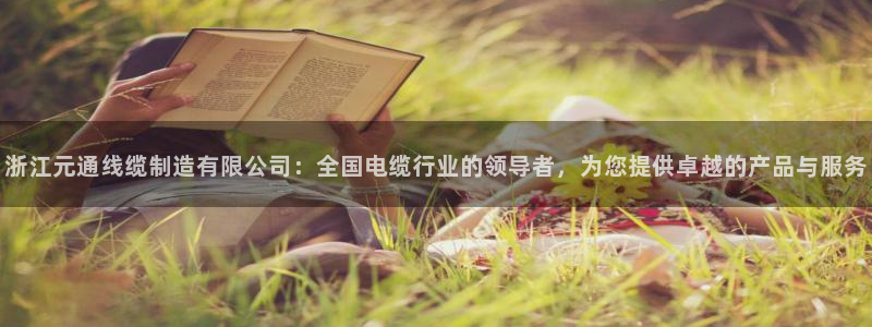 彩神ix能赚钱吗：浙江元通线缆制造有限公司：全国电缆行业的领导者，为您提供卓越的产品与服务