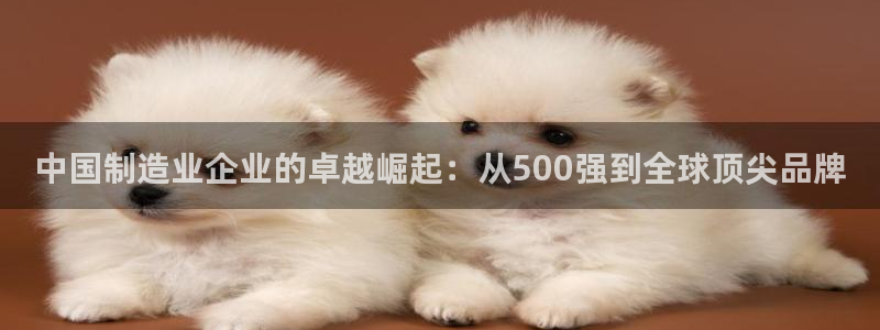 彩神正规吗：中国制造业企业的卓越崛起：从500强到全球顶尖品牌