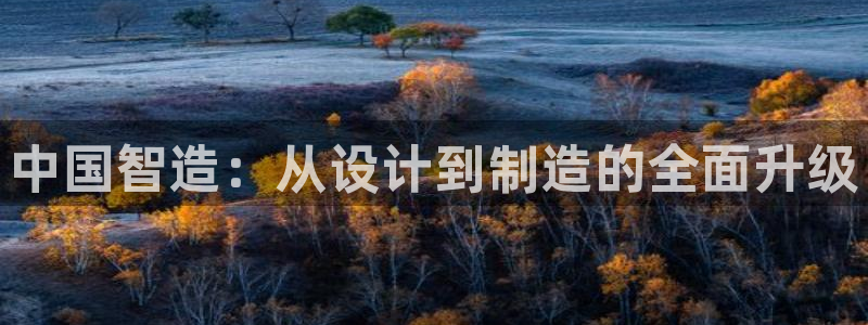 彩神V集团有限公司：中国智造：从设计到制造的全面升级