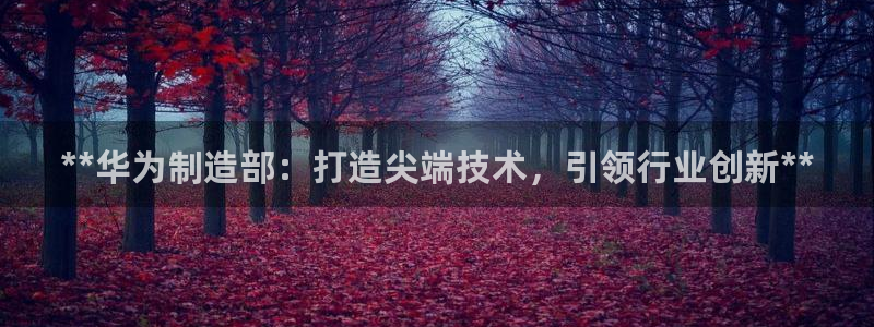 彩神velcome购彩大厅：**华为制造部：打造尖端技术，引领行业创新**