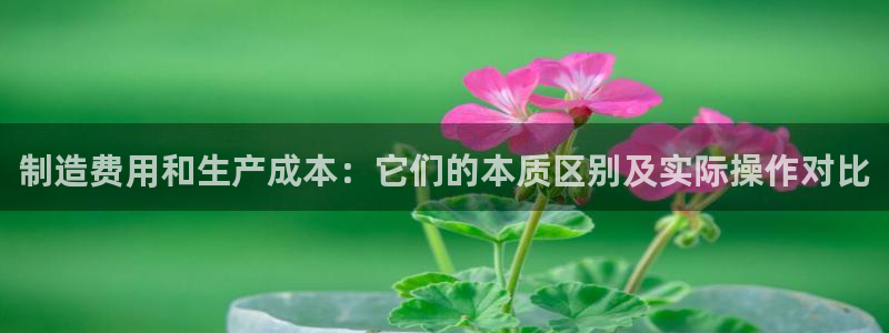 彩神大发三期计划网站：制造费用和生产成本：它们的本质区别及实际操作对比