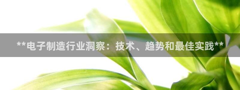 彩神ii官方网：**电子制造行业洞察：技术、趋势和最佳实践**