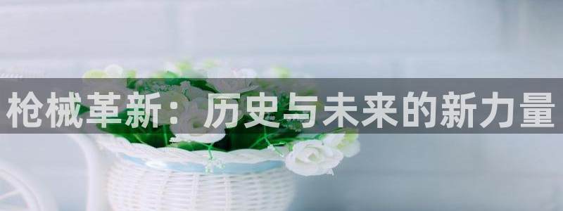 彩神vii购彩l心：枪械革新：历史与未来的新力量