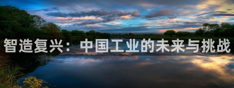 下载彩神乐发V1：智造复兴：中国工业的未来与挑战