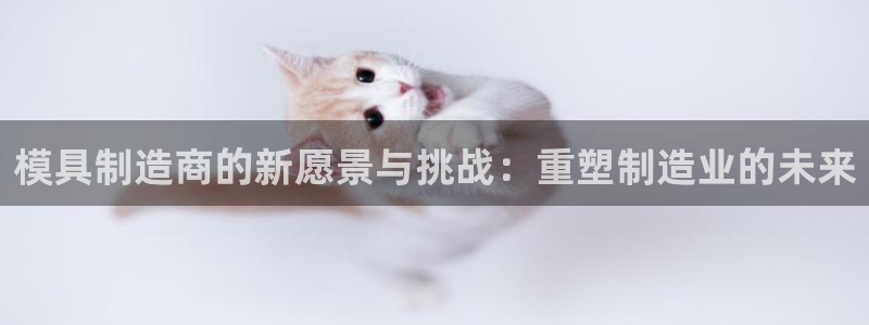 彩神V集团有限公司：模具制造商的新愿景与挑战：重塑制造业的未来